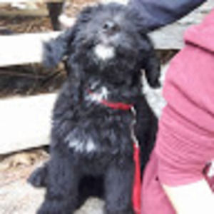 Meet your Posher, Valerie